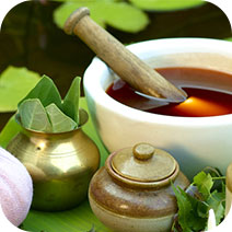 Kerala Ayurveda Packages